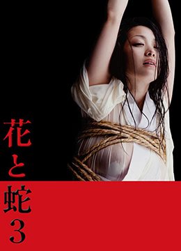 《花与蛇3》免费在线播放高清完整版无广_经典片