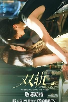 《双轨》电视剧在线观看全集免费高清完结版