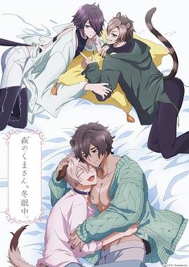 《森林里的熊先生冬眠中》动漫在线观看全集免费完整版免费观看